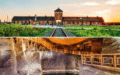 Visita ad Auschwitz Birkenau & Miniera di Sale di Wieliczka