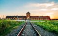 Visitare Auschwitz Birkenau - Cracovia Auschwitz tour