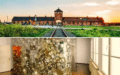 Visita ad Auschwitz-Birkenau & Fabbrica di Oskar Schindler