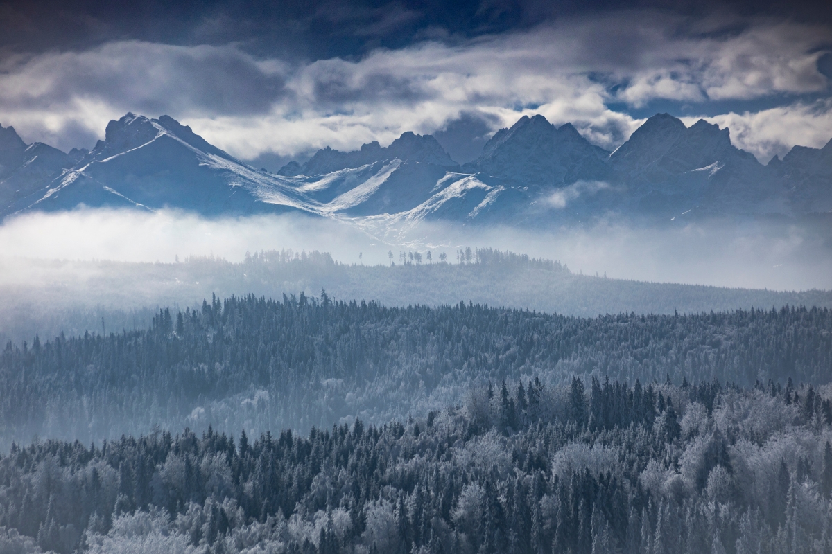 tatra-winter-mist-view Winter view of the Tatra Mountains above a misty forest near Zakopane